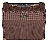 Luna AA25 25 watt Acoustic Guitar Amp with mic channel and chorus